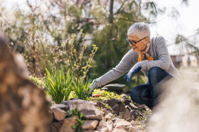 Eradicating weeds: Effective techniques to keep your Southern Utah garden thriving