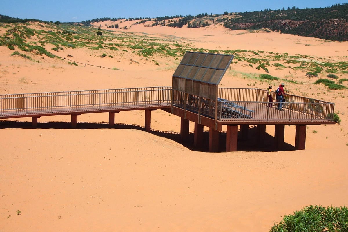 Hiking Southern Utah: Coral Pink Sand Dunes State Park – The Independent | News Events Opinion More