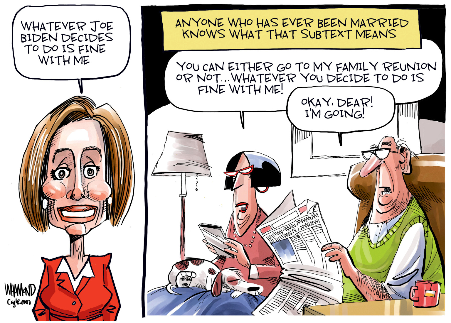 Editorial Cartoon: The Pelosi Subtext – The Independent | News Events Opinion More