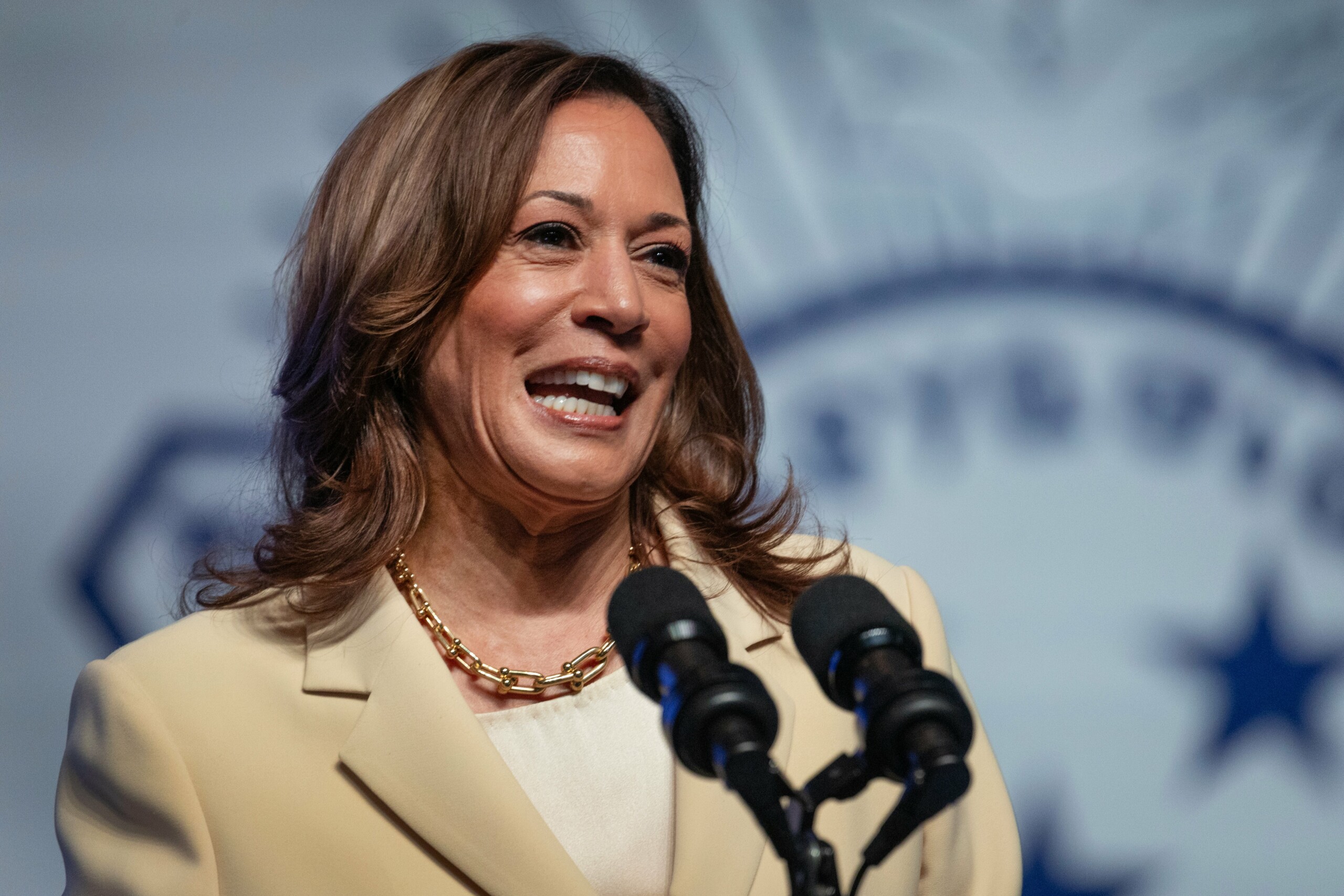 Kamala Harris Would Have Been The Dream Stepmom For My Kids