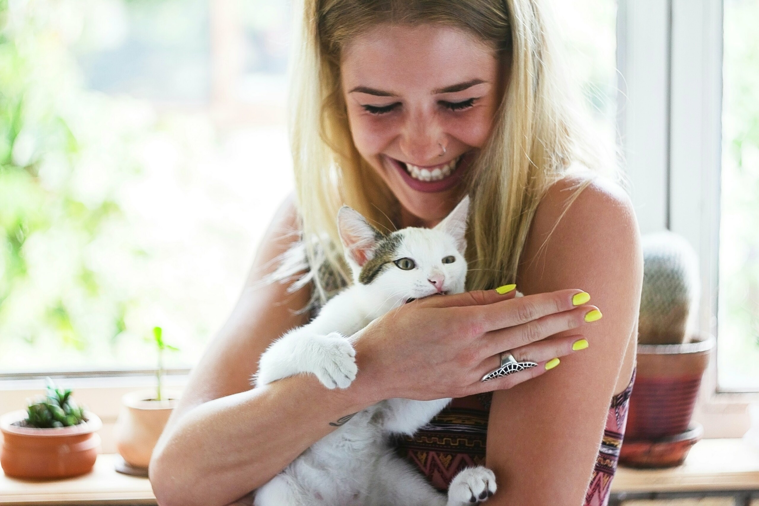 Why Do Cats Make Biscuits? A Vet Explains This Cute, Quirky Behavior