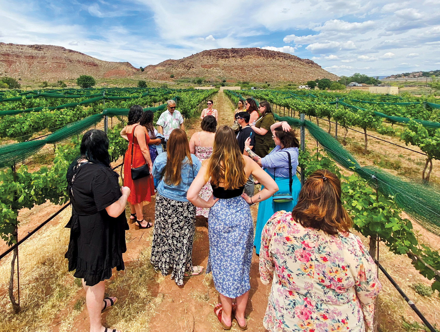 Wine Making Is Redefining Southern Utah – The Independent | News Events Opinion More