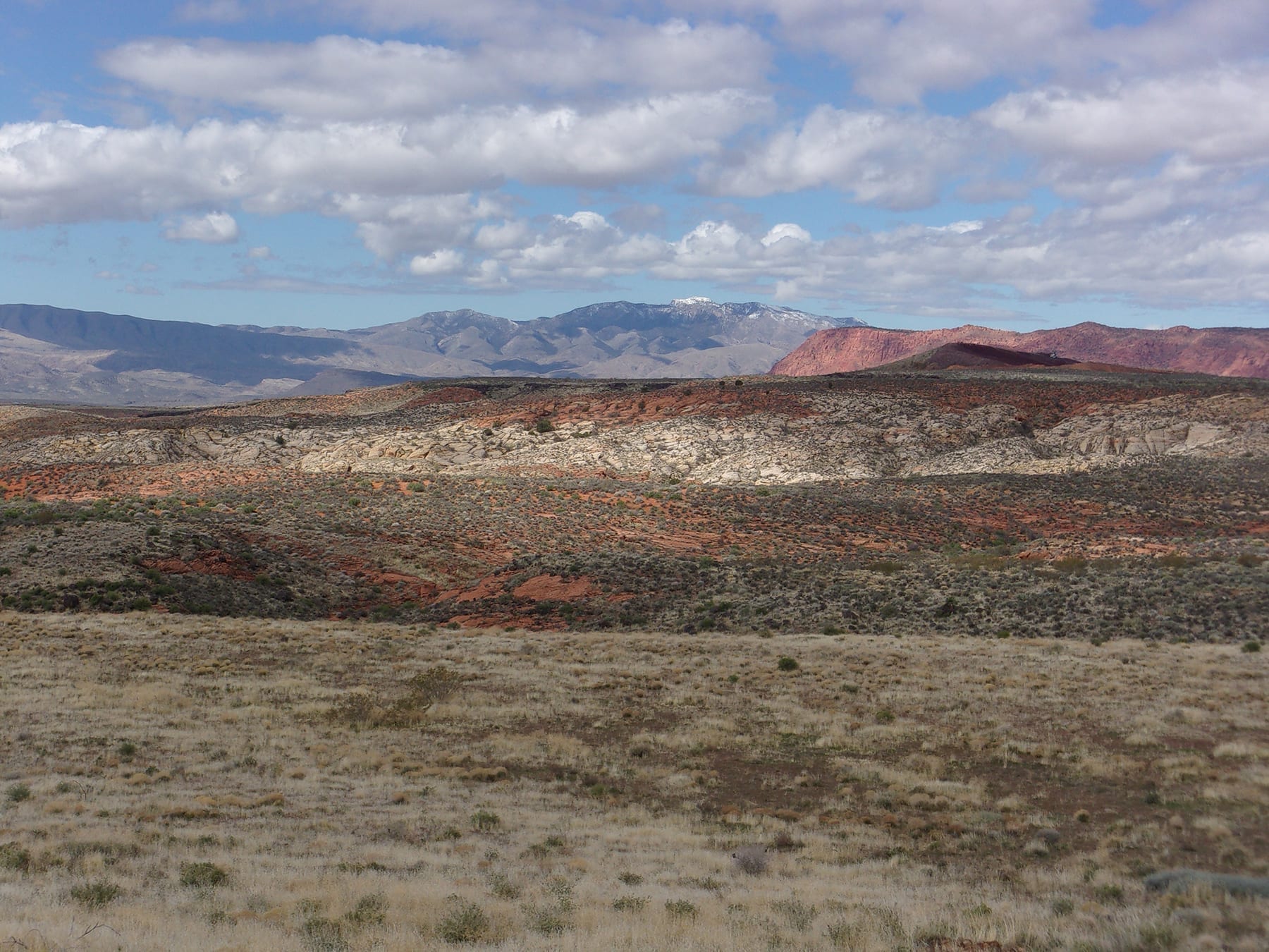 Hiking Southern Utah: Black Gulch Trail in the Red Cliffs Desert Reserve – The Independent | News Events Opinion More