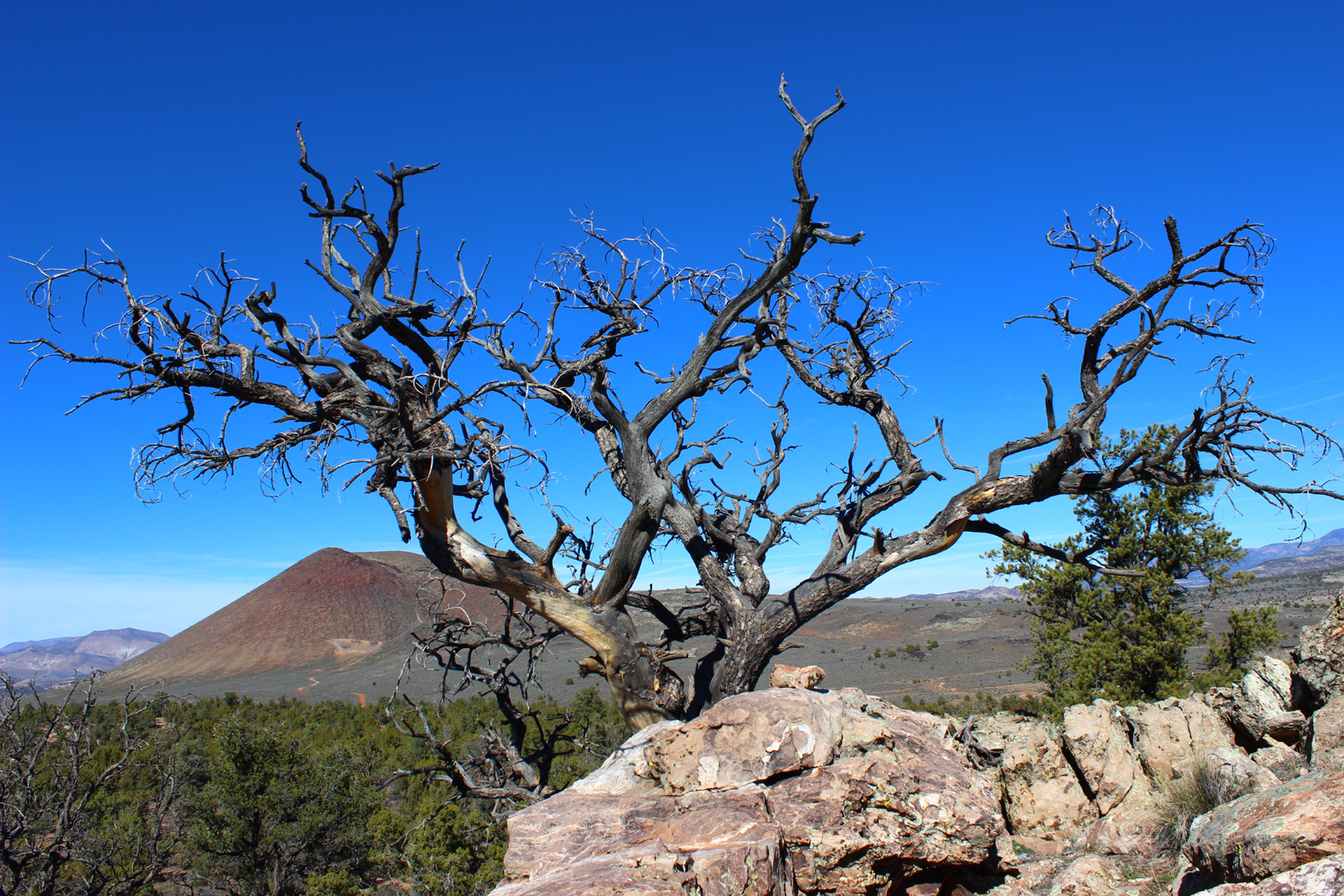 Hiking Southern Utah: The Maze – The Independent | News Events Opinion More