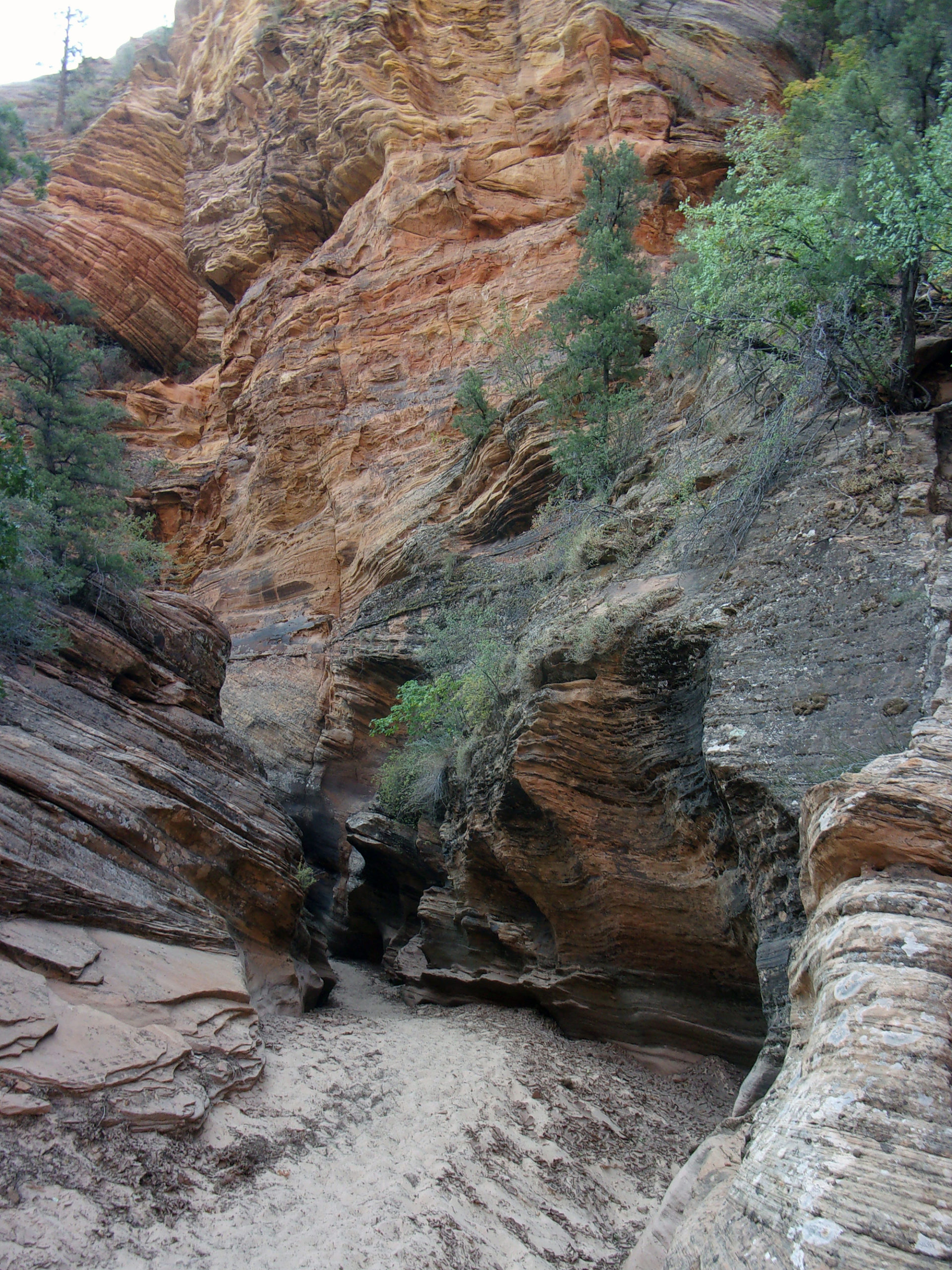 Hiking Southern Utah: Clear Creek Trail – The Independent | News Events Opinion More