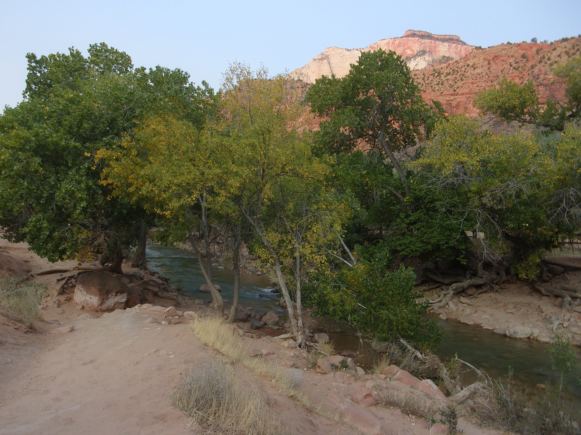 Hiking Southern Utah: Watchman Trail, Zion National Park – The Independent | News Events Opinion More